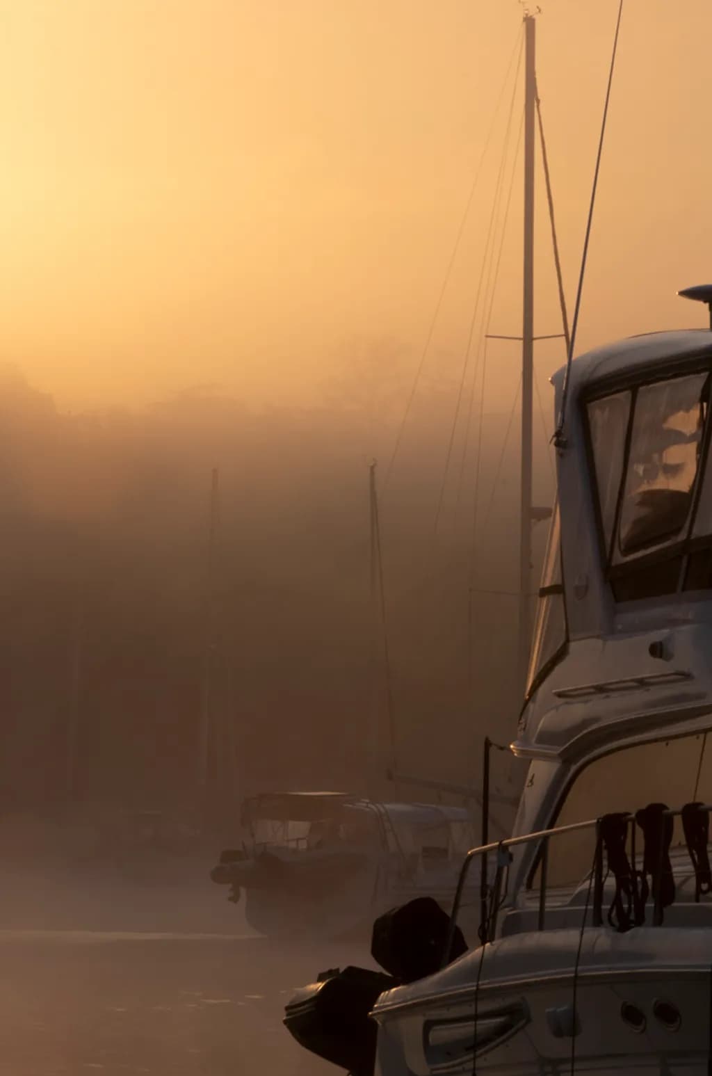 Ghost Fleet of Chesapeake City-3