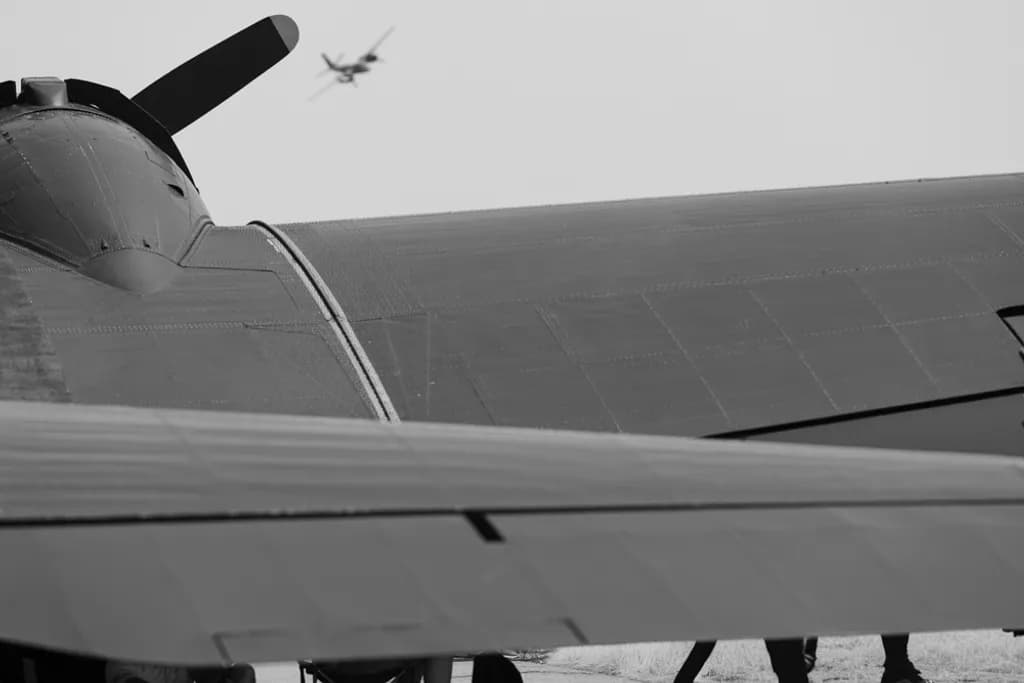 Vintage Wings