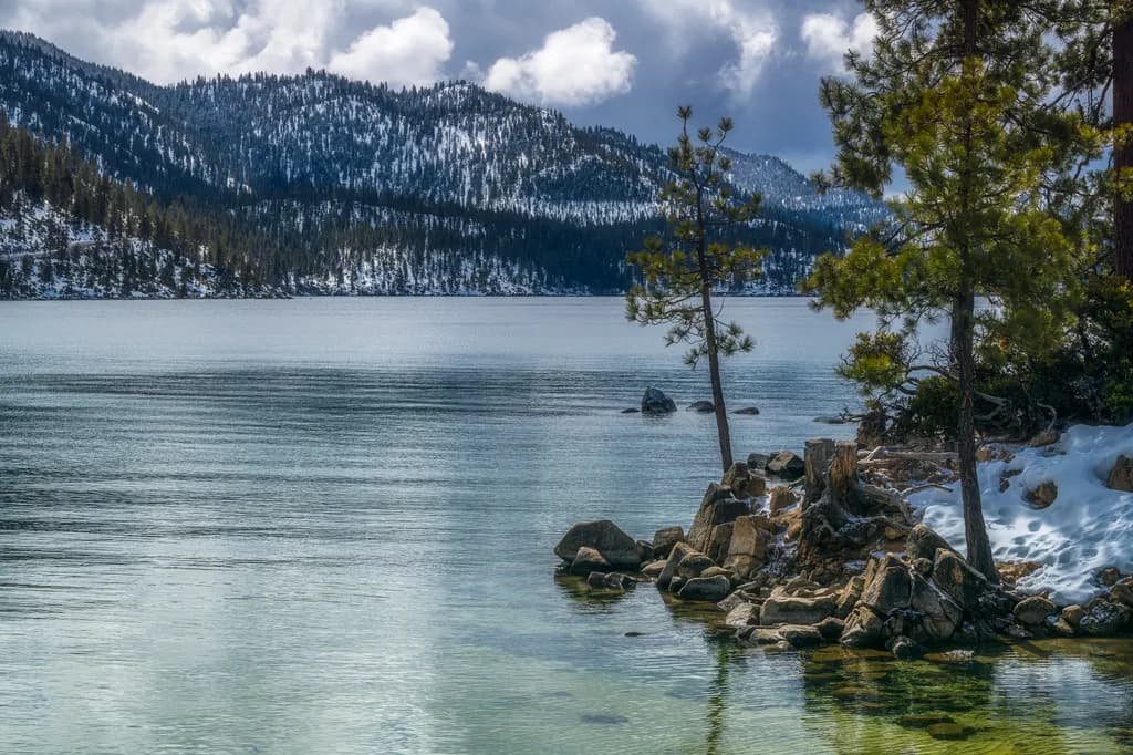 "Lake Tahoe: Lakeside Reflections"