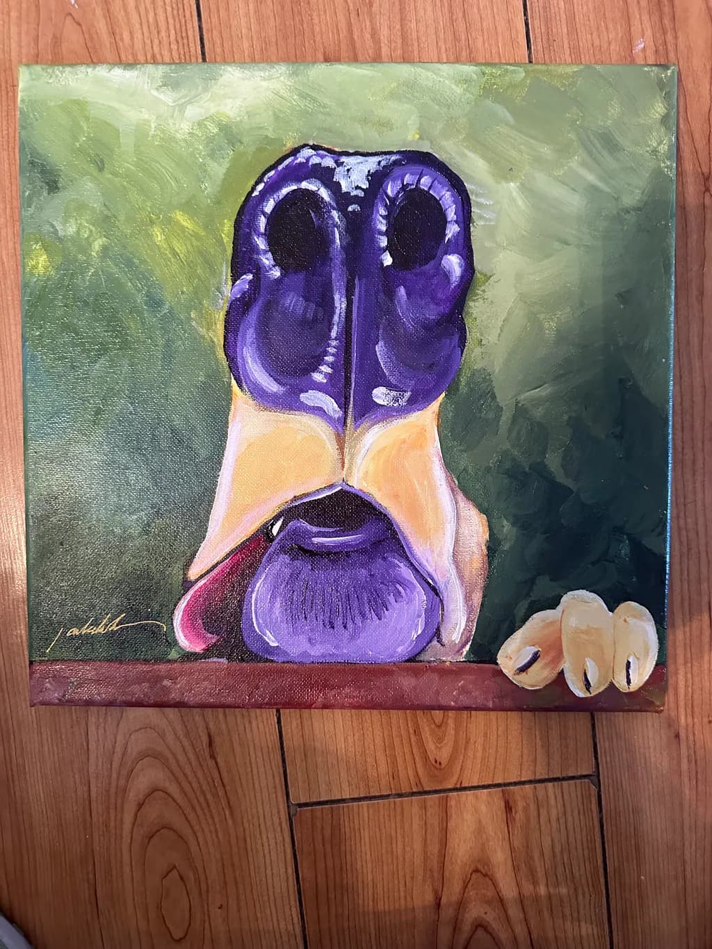 Curious Snout