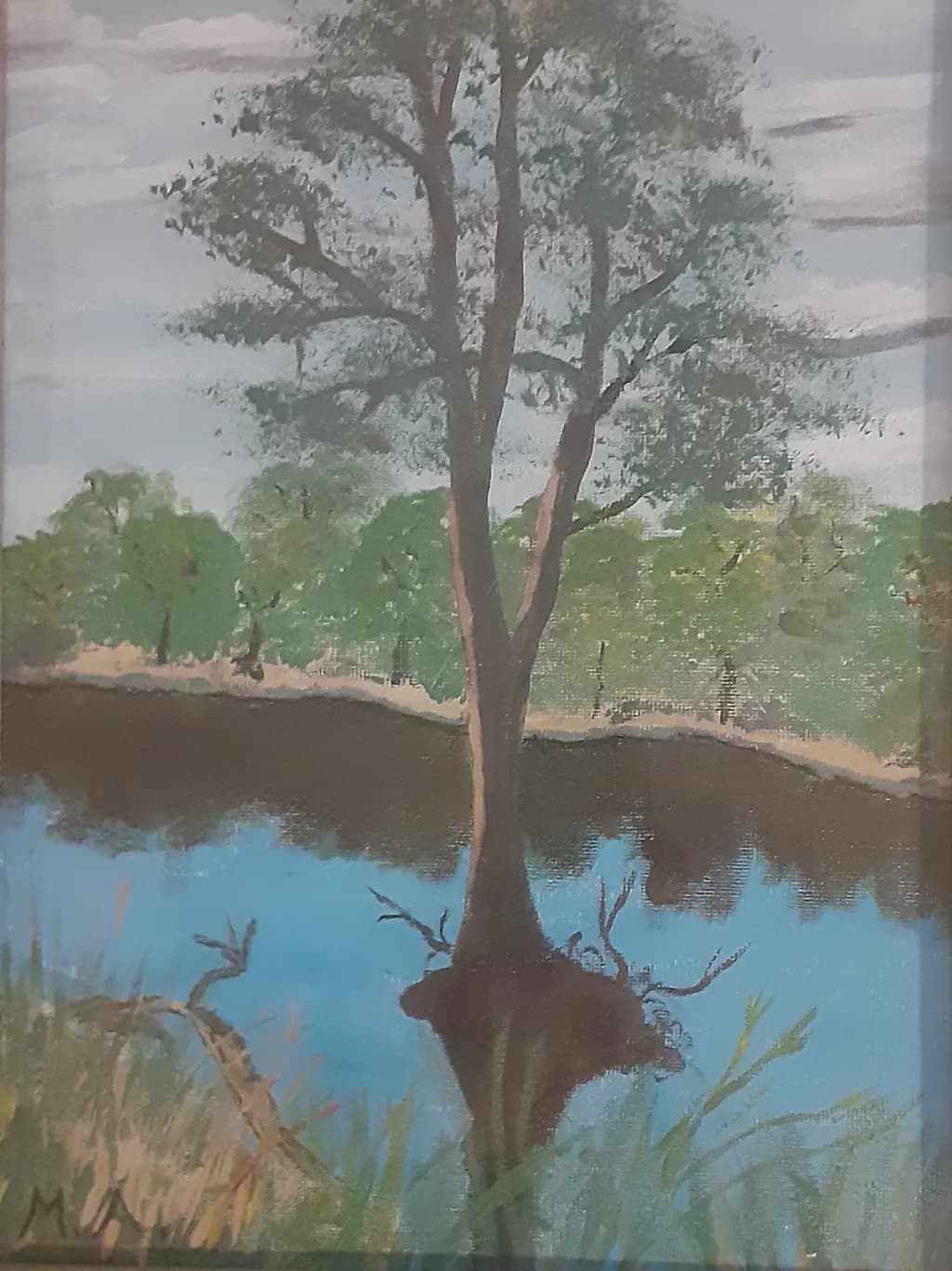 Reflections of Serenity: A Tranquil Tree by the Water's Edge