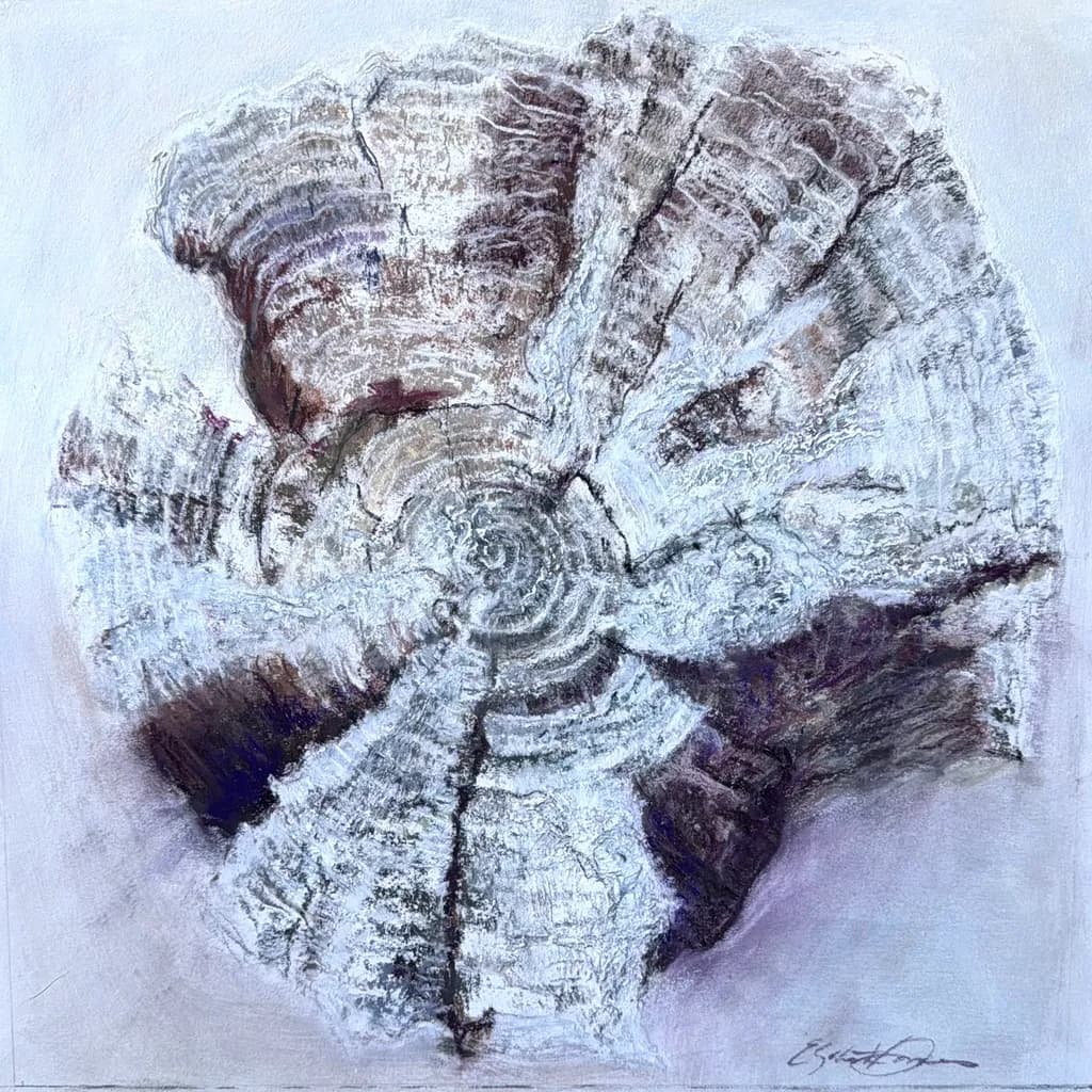 Tapestry of a Life