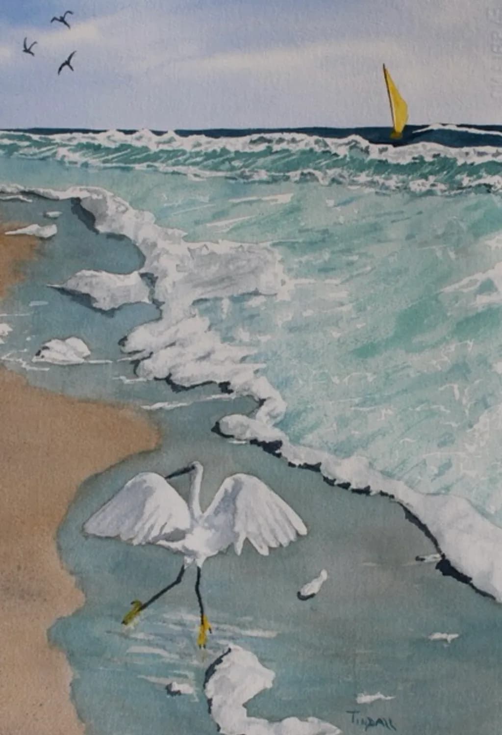 Coastal Grace