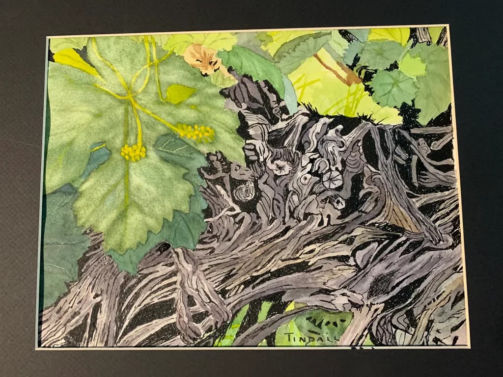 Tree Bark and Leaves