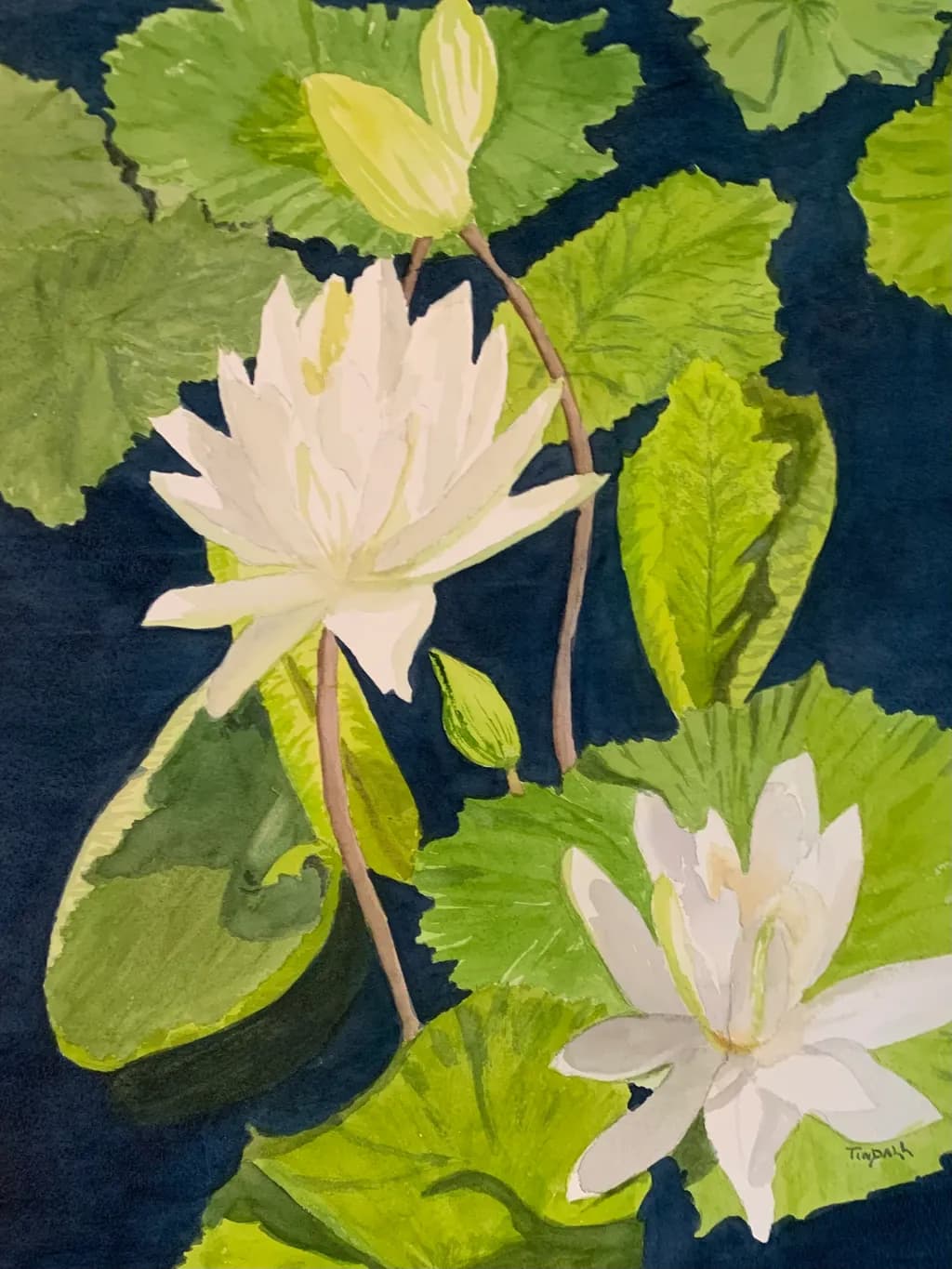 Water Lilies and Leaves