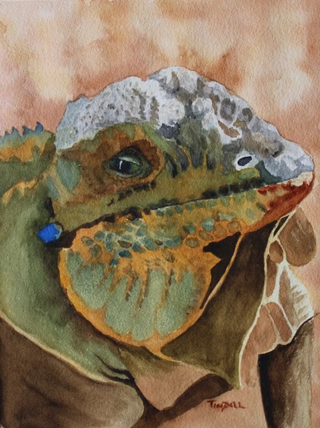 Rango Rules the Desert