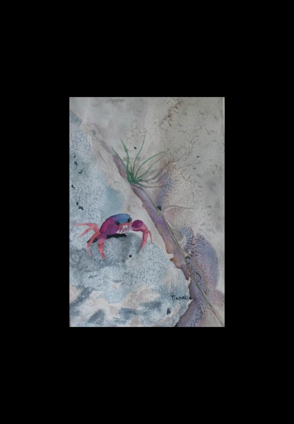 Crimson Tidecrawler