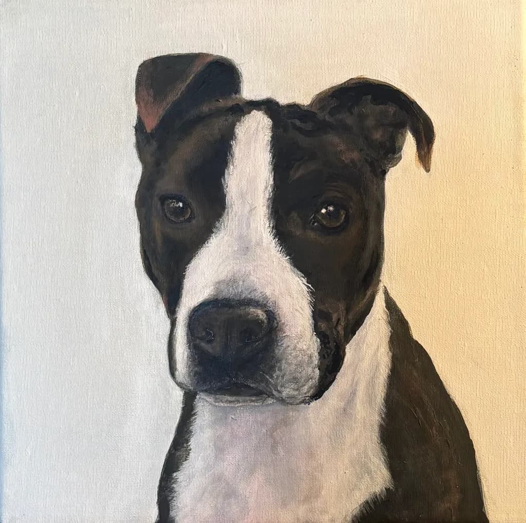 Black and White Canine Portrait
