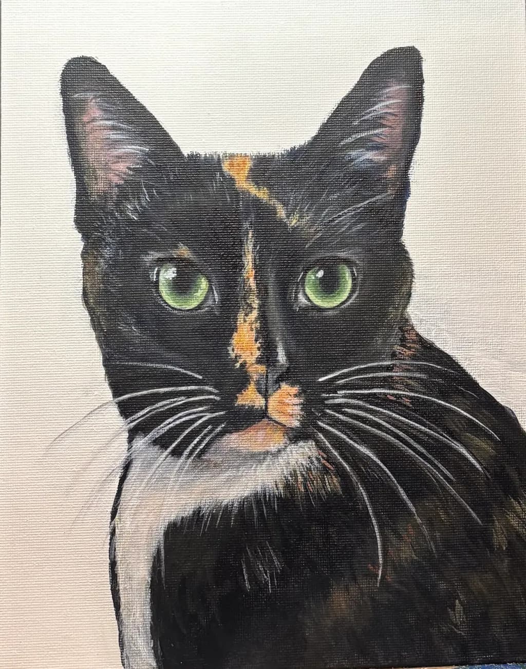 Calico Gaze
