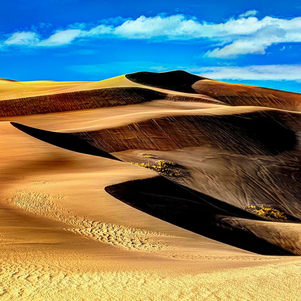 Fusion Dunes