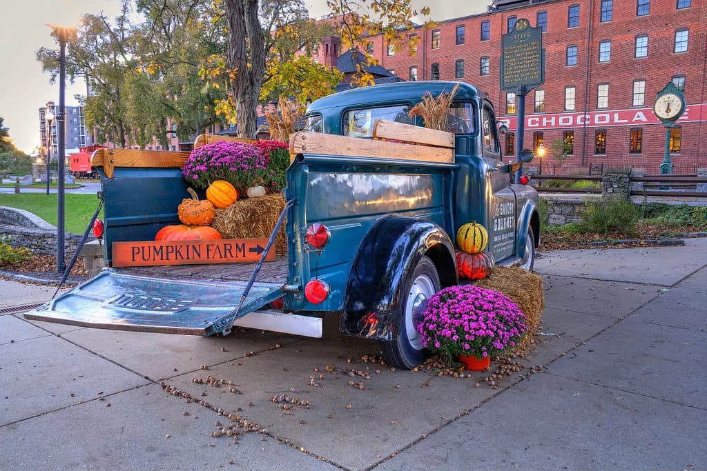 The Savory Gourmet Truck