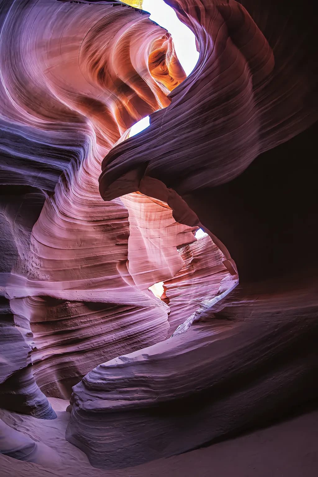 Erosion's Embrace - P