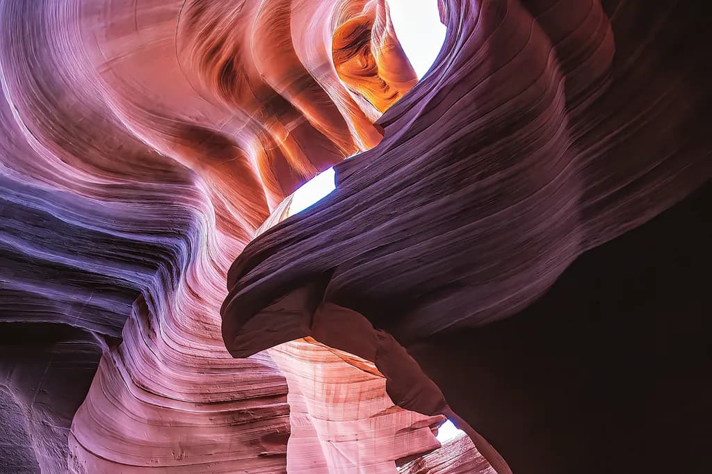 Erosion's Embrace - L