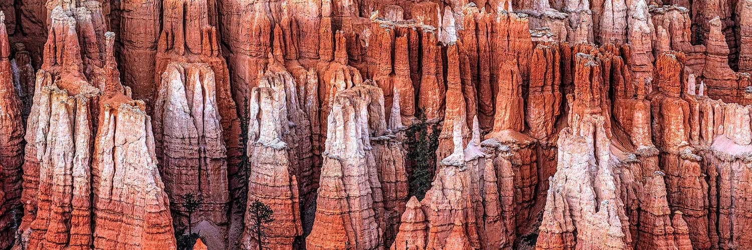 Profilbanner