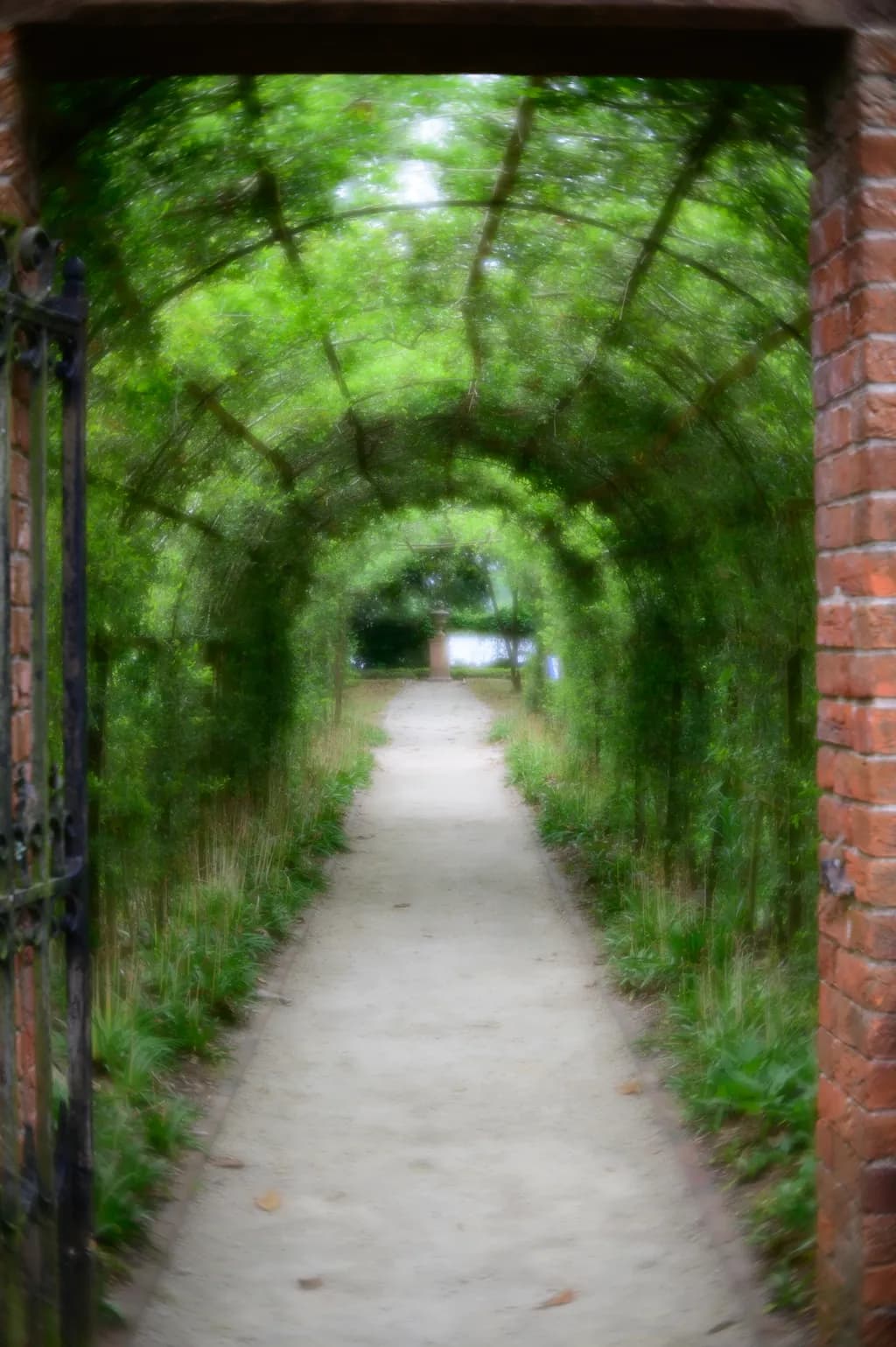 Garden Tunnel Pathway