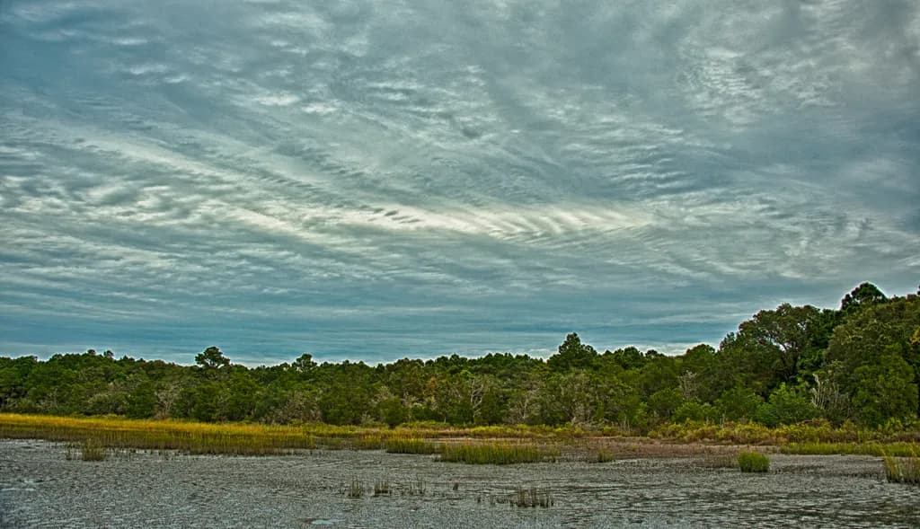 Huntington Marsh Landscape