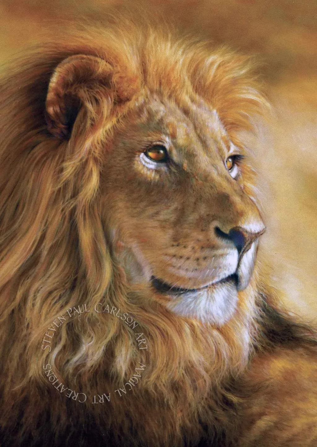 Lion Close-Up