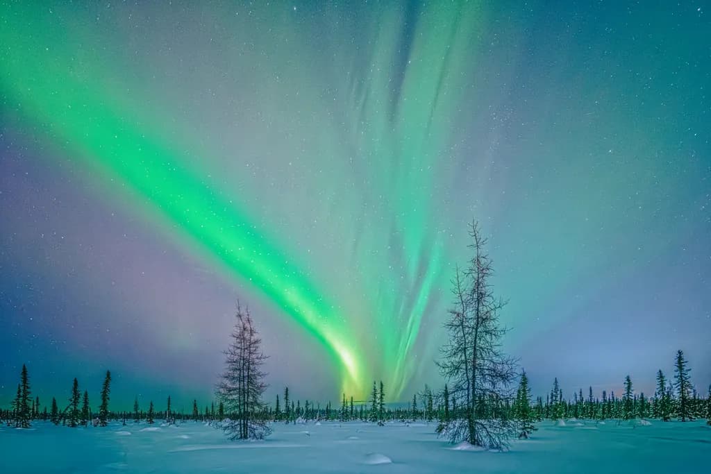 Northern Muse