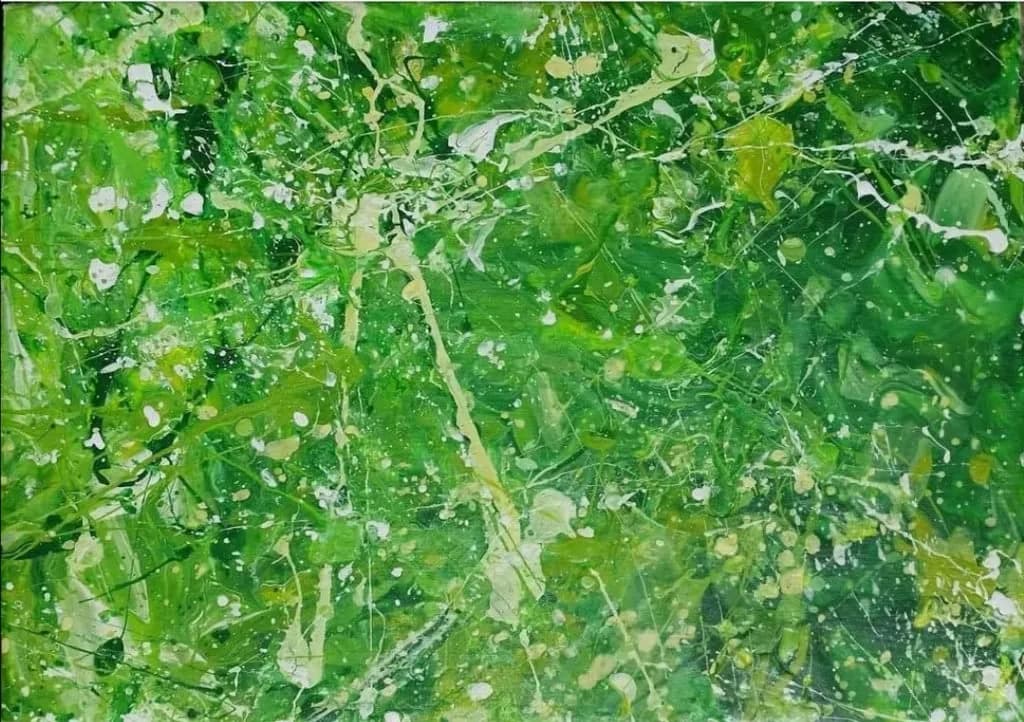 Algae Anomalies