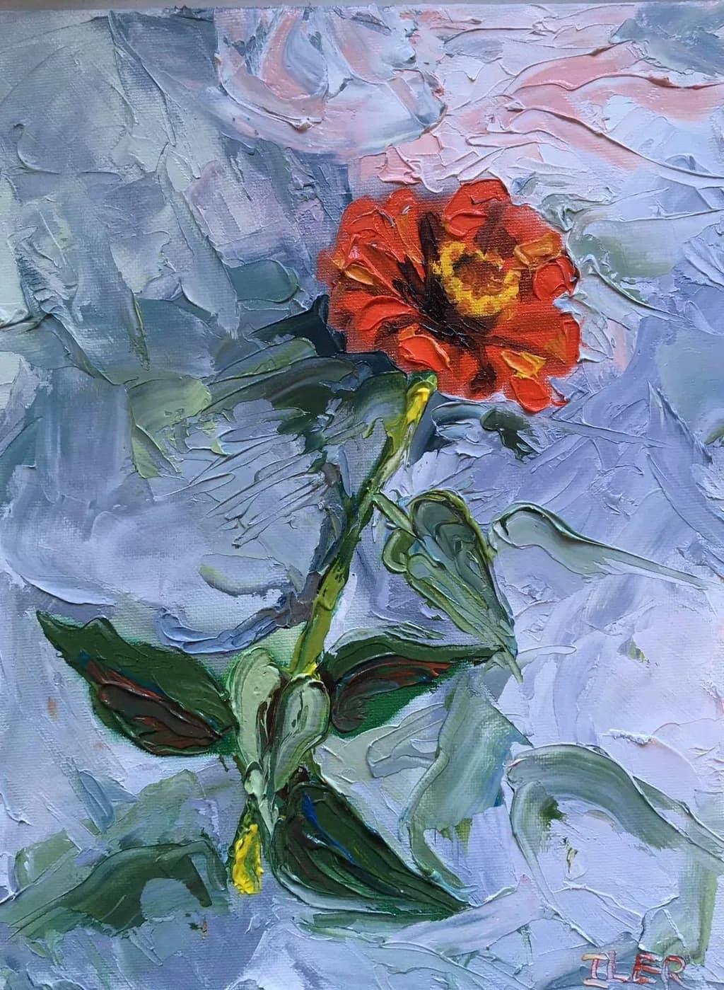 Zinnia Bloom