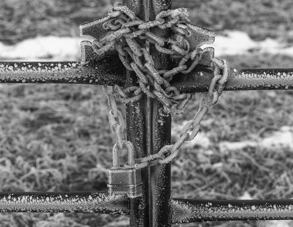 Frosted Security