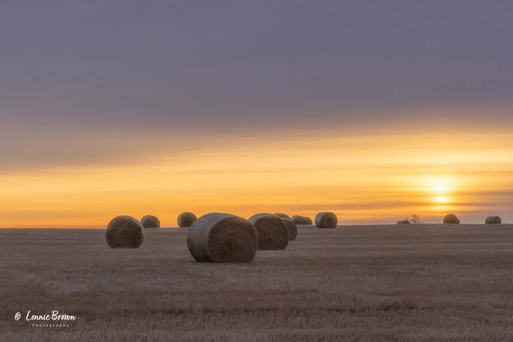 Golden Horizon