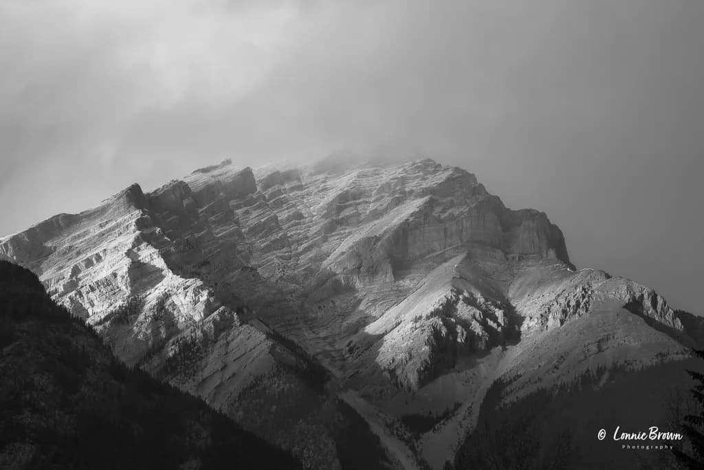 Mountain Majesty