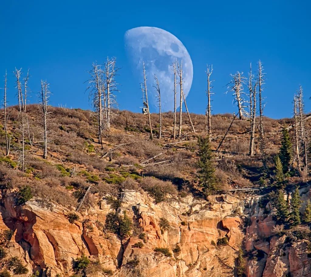 Rocky Hillside Moon