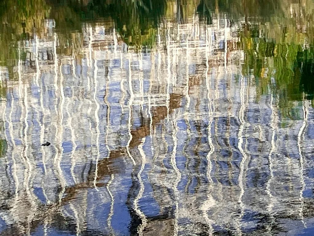 Rippled Facade Reflection