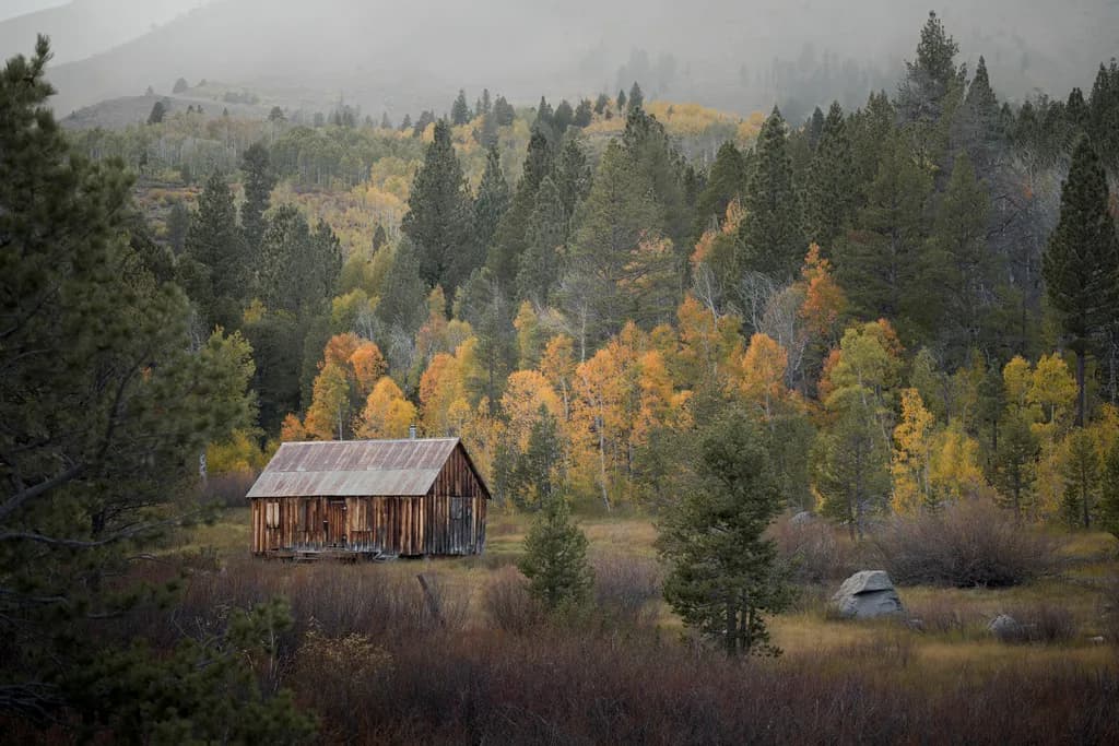 Rustic Hideaway