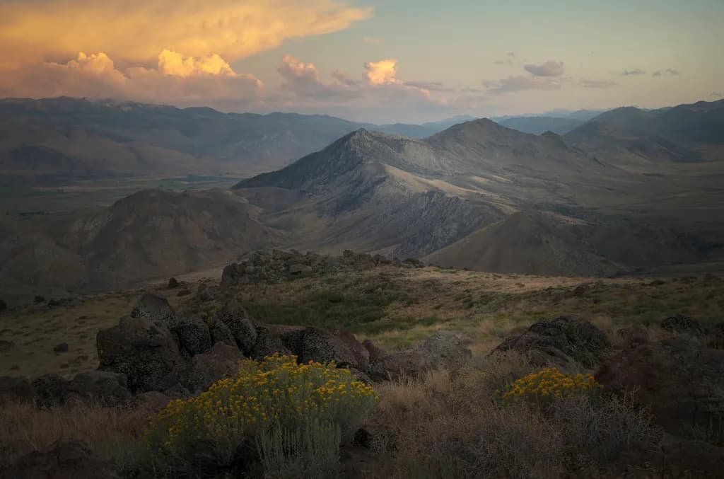 Rocky Outlook