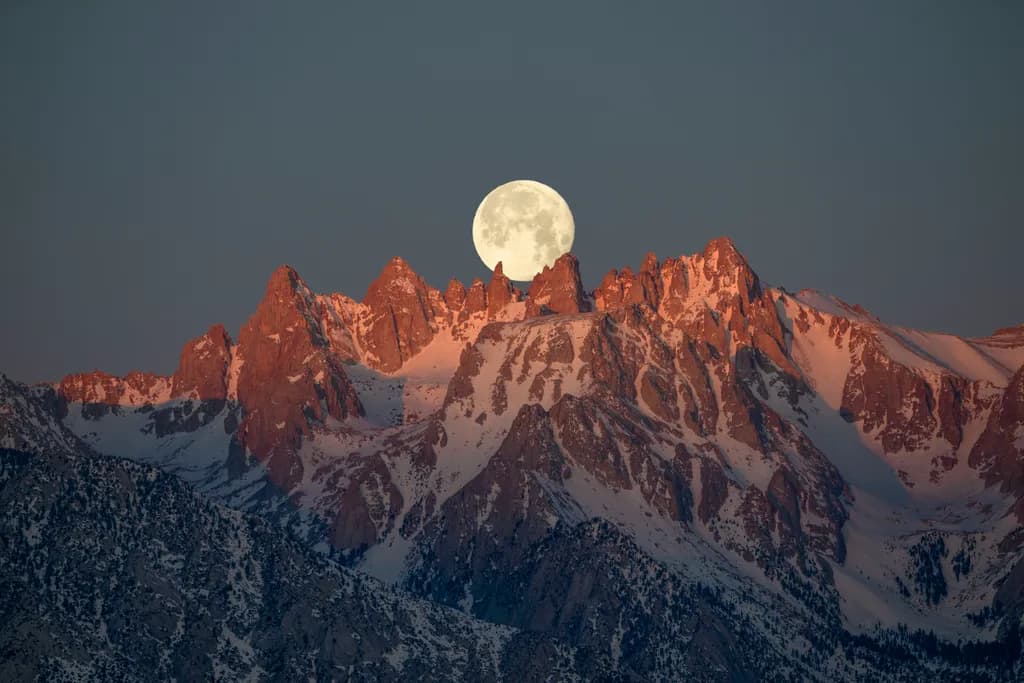 Moonrise Mischief