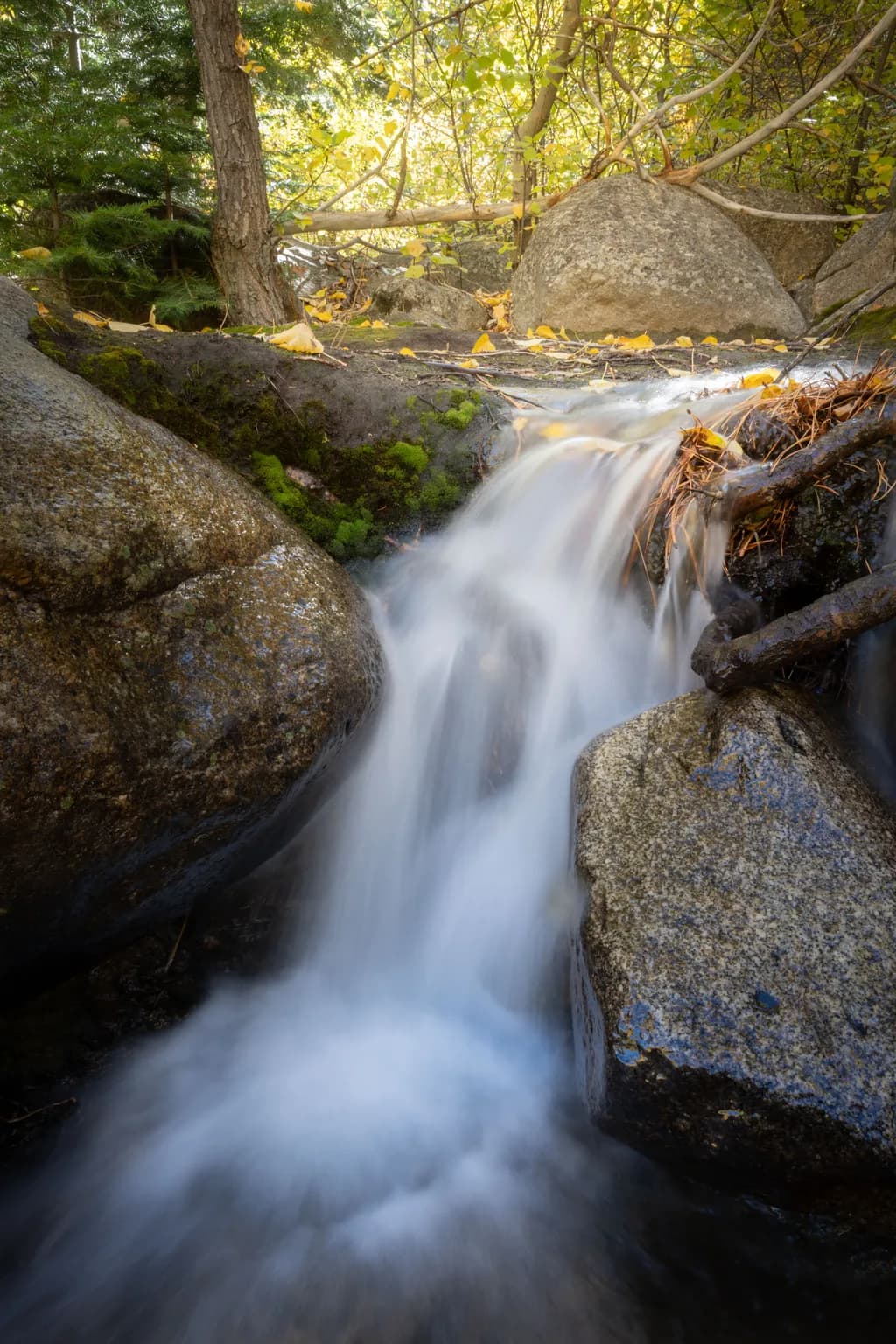 Creekside Cascade
