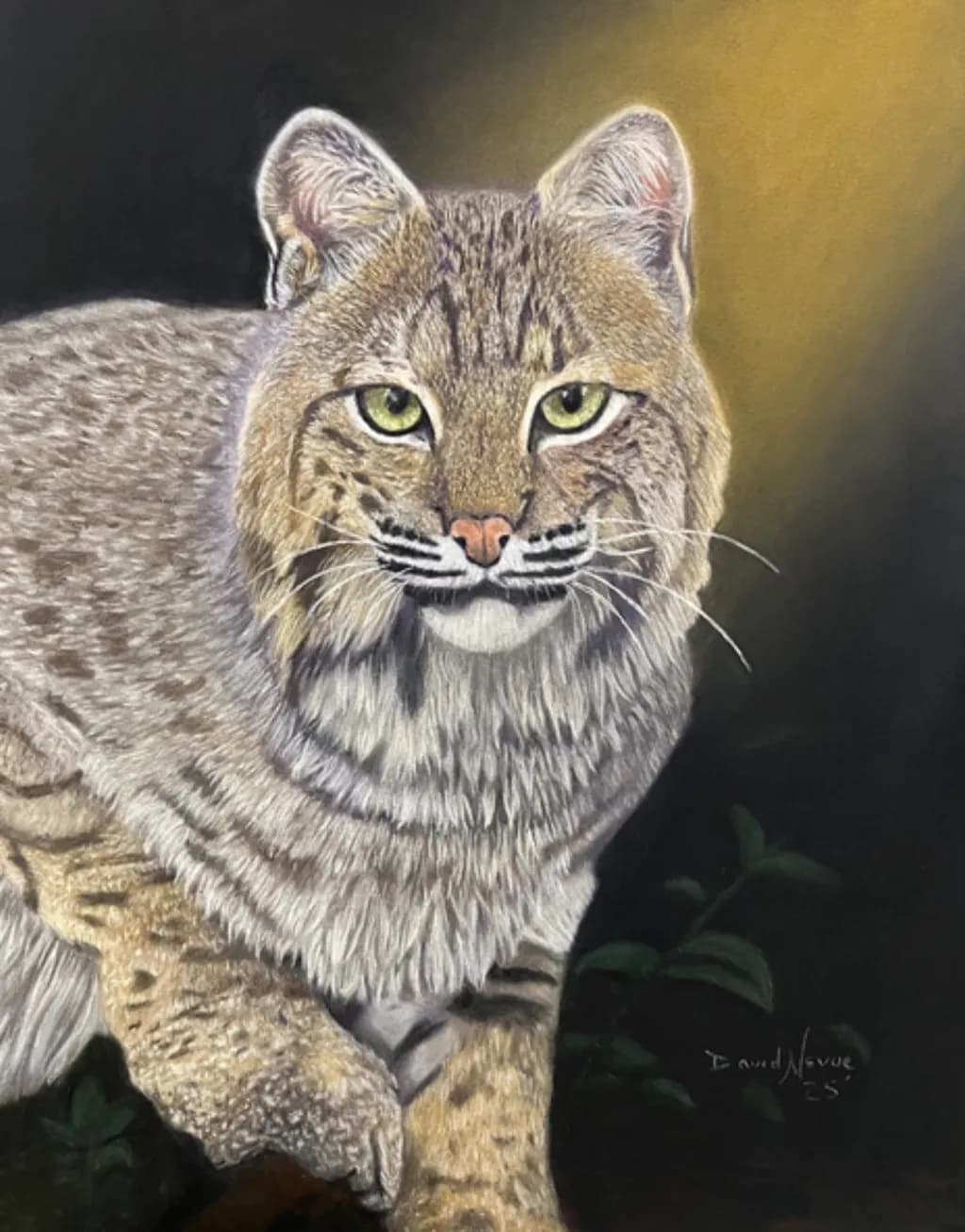 Bobcat’s Golden Gaze