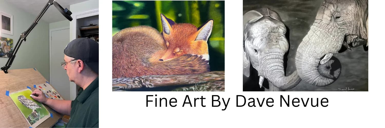 Profilbanner