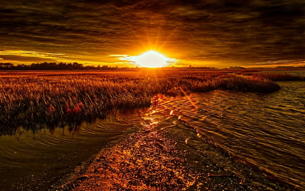 Golden Serenity: A Tranquil Sunset Over Water and Marshlands
