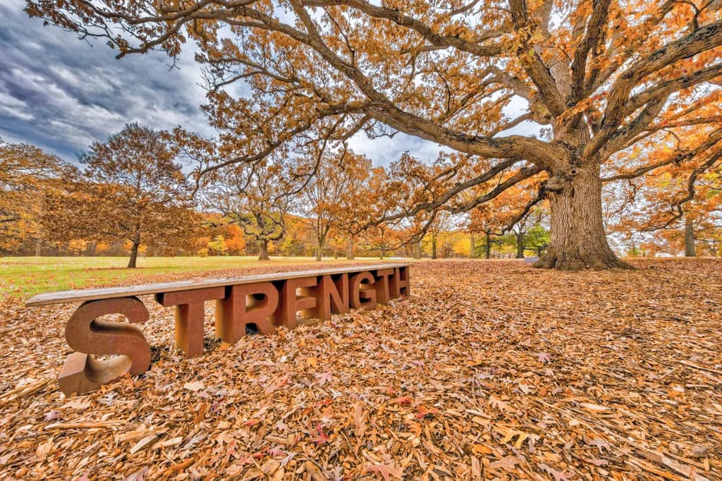 The Strength Tree