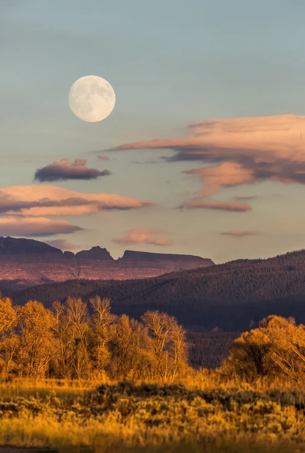Fall Moon Rise
