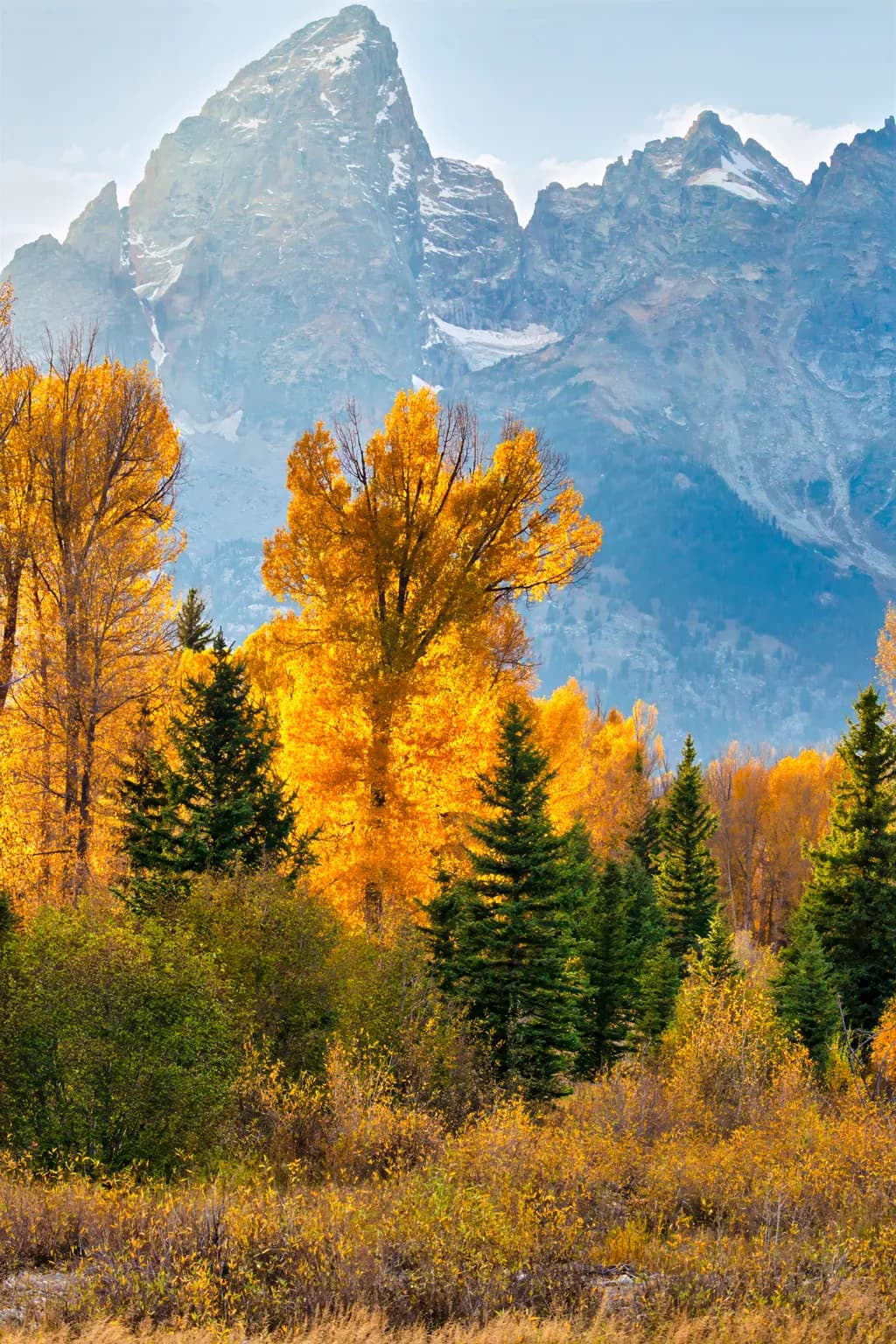 Aspen Flame