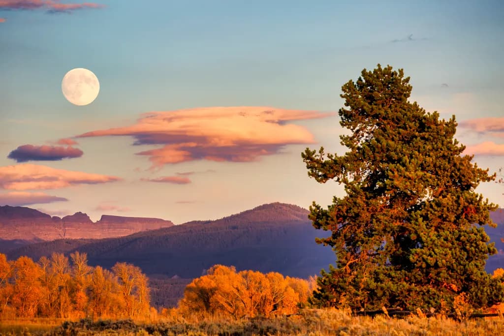 Wyoming Quiet