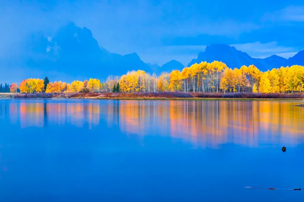 Teton Gold