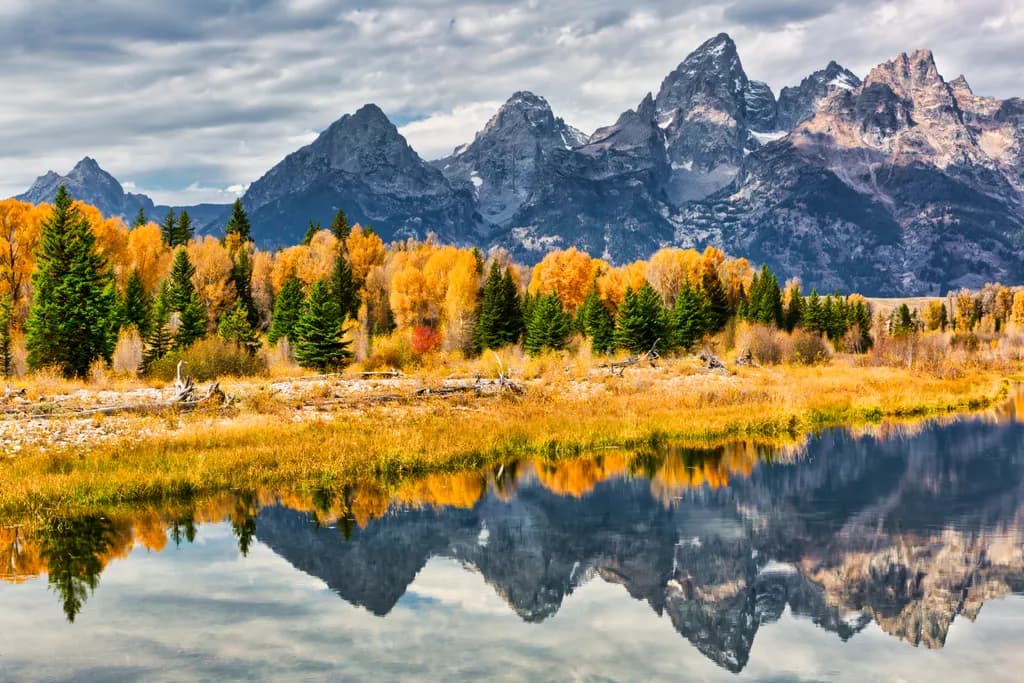 Fall Palette Of The Tetons