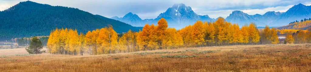 Aspen Fireline
