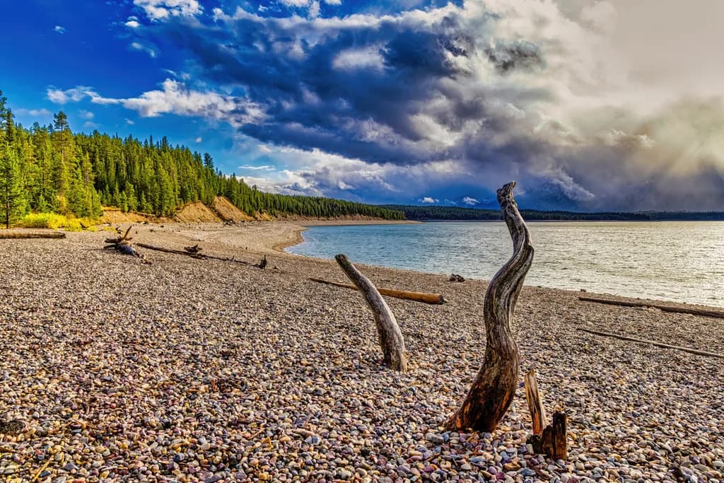 Whispers of the Wild: A Serene Reflection on Nature's Beauty at the Water's Edge