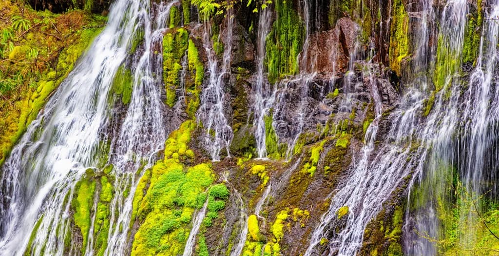 Whispers of the Waterfall: Nature's Symphony in Green and Silver