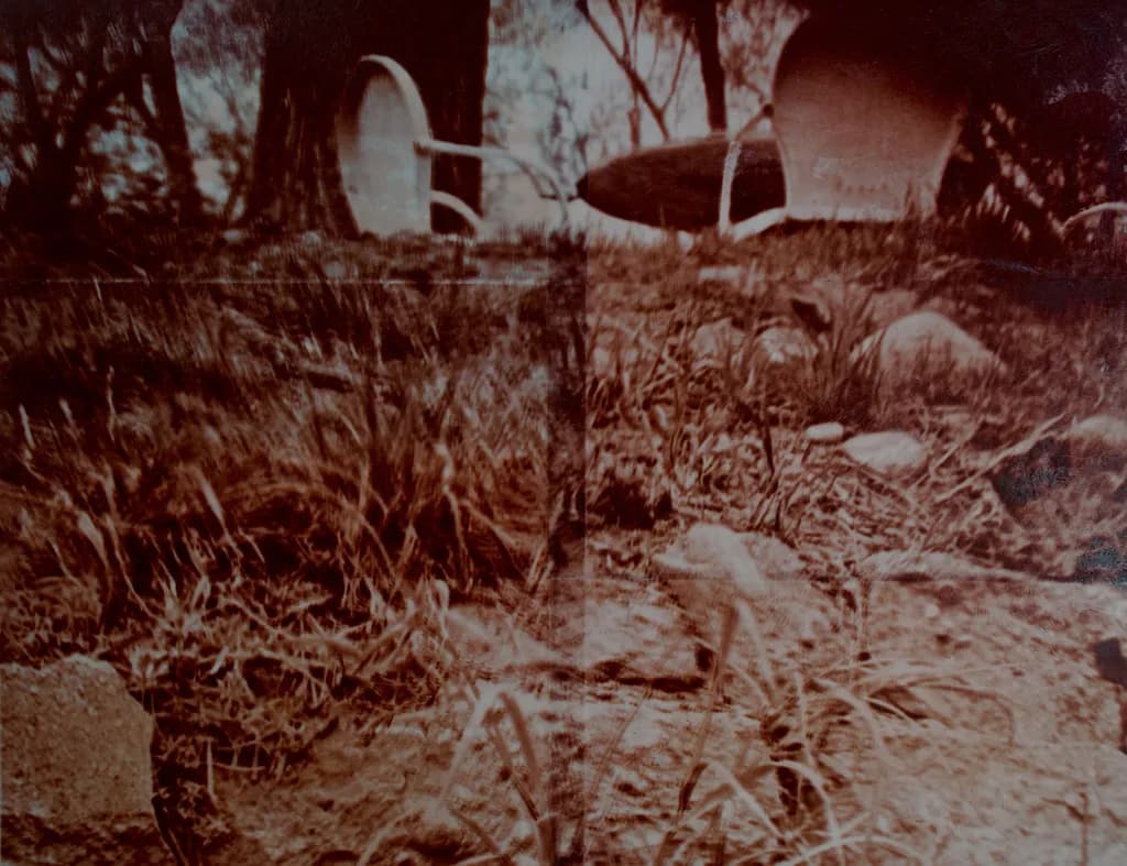 Forgotten Picnics