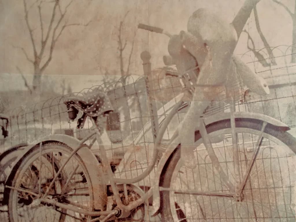 Bicycle Dreams