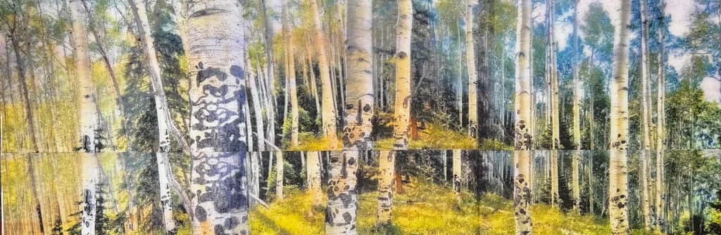 Birch Tangle