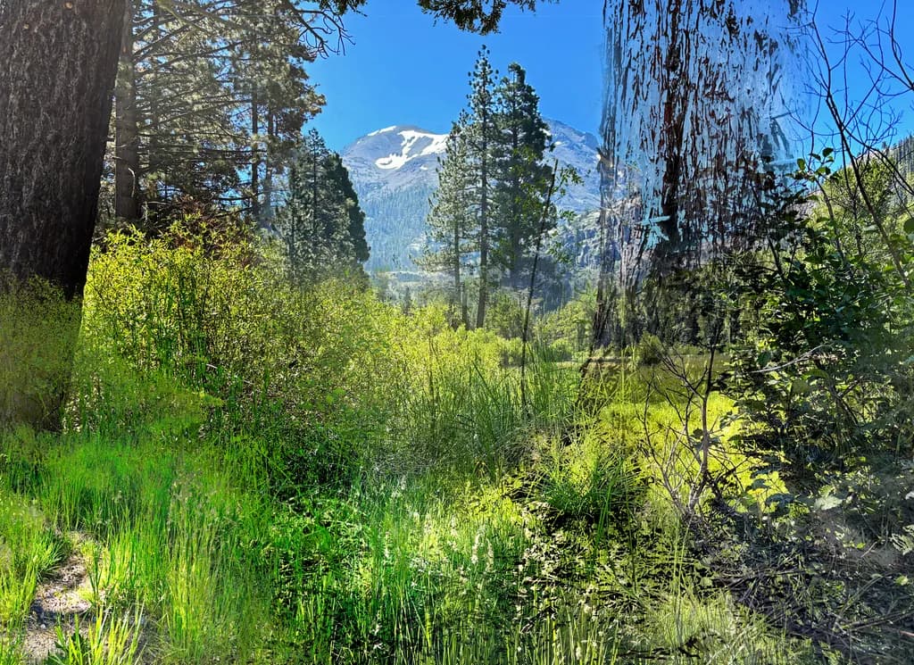 Kennedy Meadows Late Spring