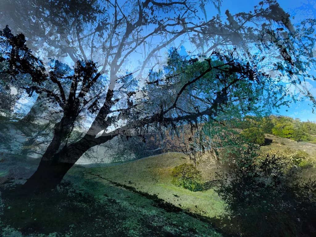 Layered Landscape